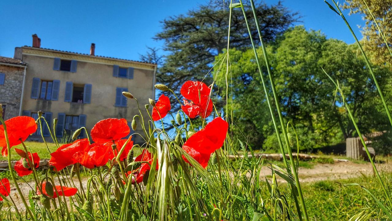 Le Domaine Saint Martin Bed and Breakfast Flassans-sur-Issole Exteriör bild